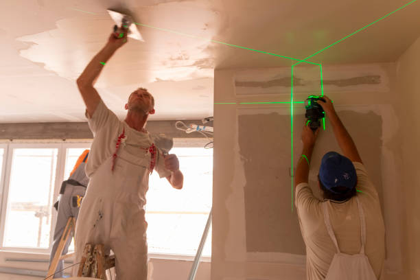 Best Ceiling Drywall Installation  in New Mford, IL